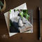 A blank folding greeting card featuring nature photography of a tufted titmouse on a bird house at Cove Creek Photography.